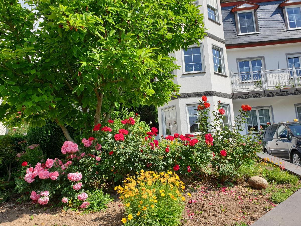 Ferienwohnung Thonnes Müden Екстериор снимка